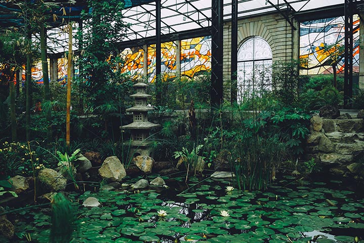 Transform Your Outdoor Space with Concrete Ponds